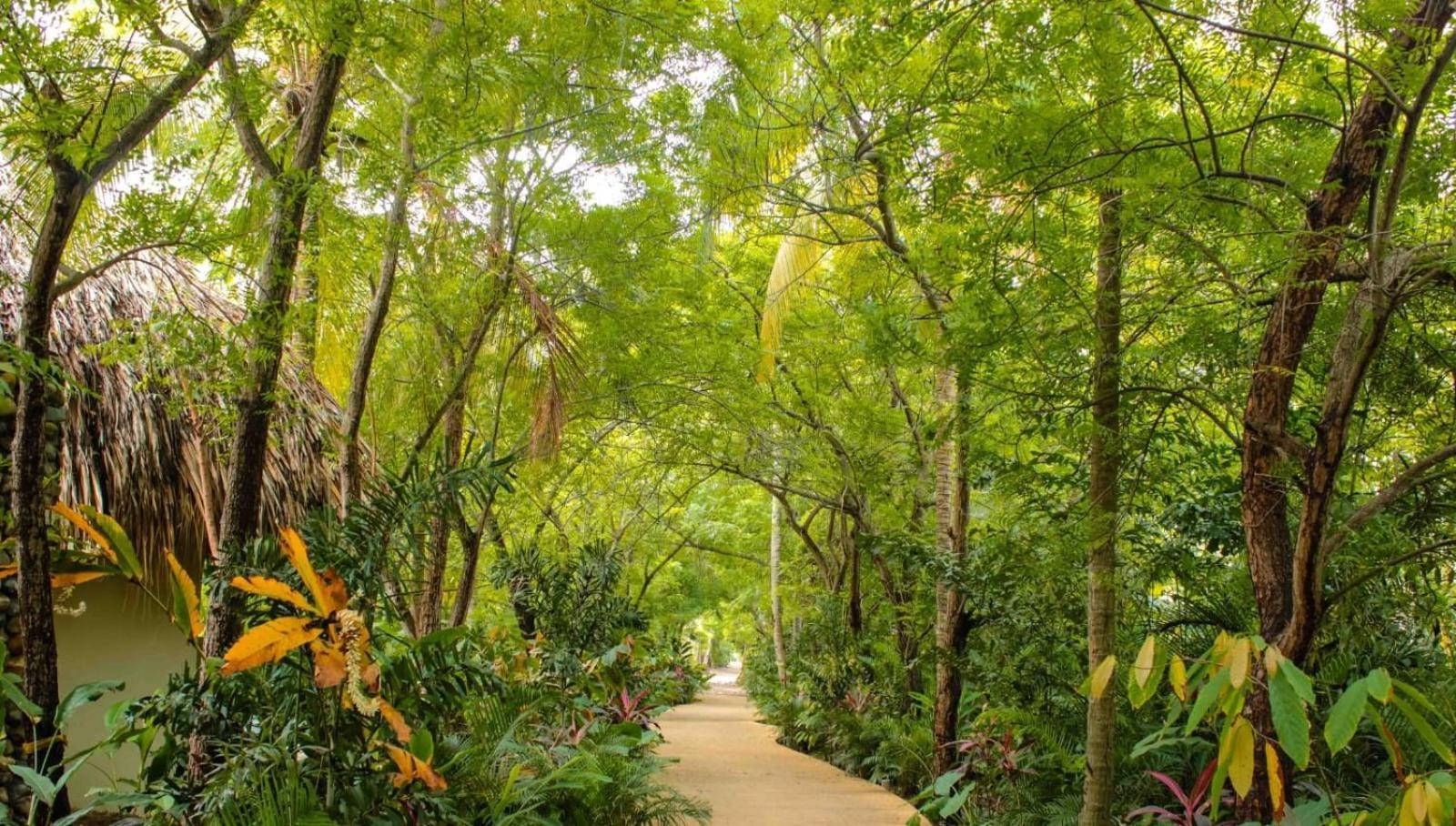 Villa Privada En Naio